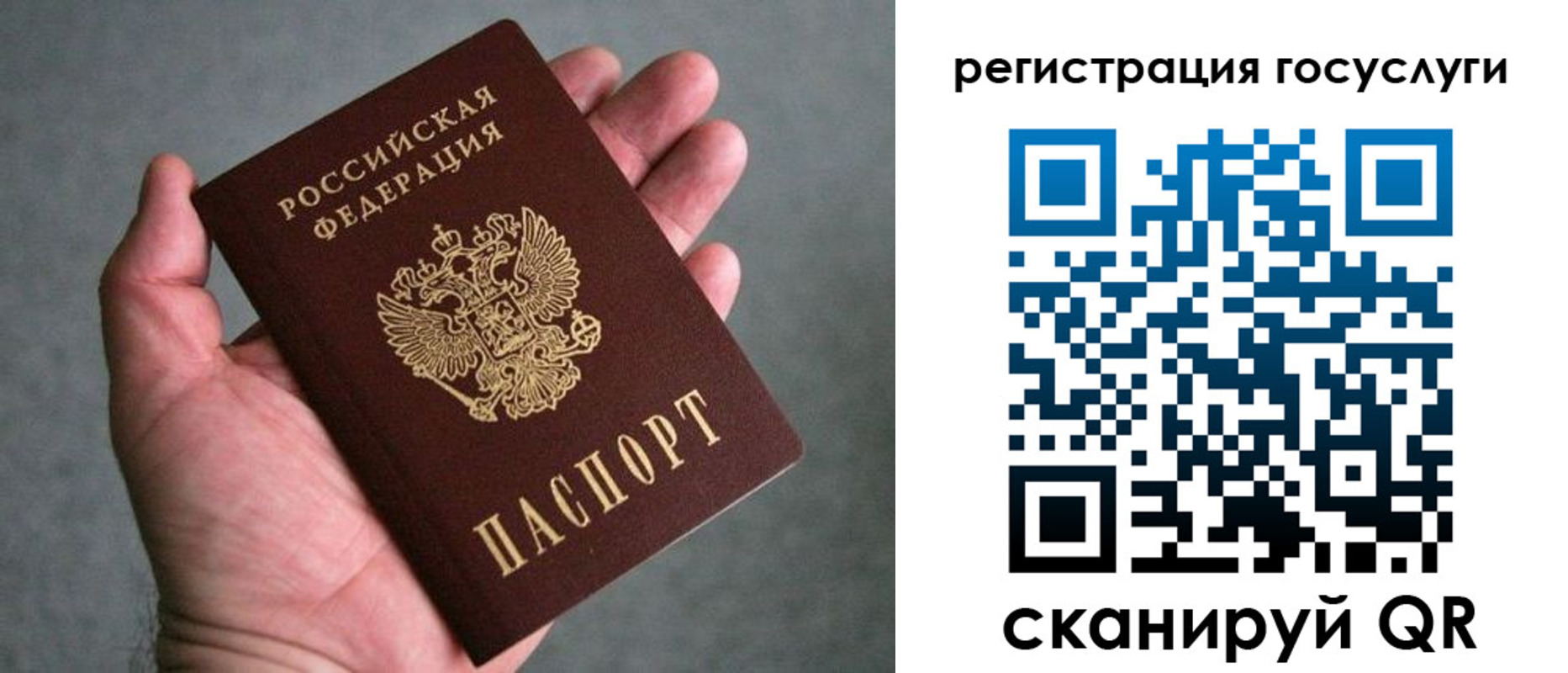 прописка поиск в Видном